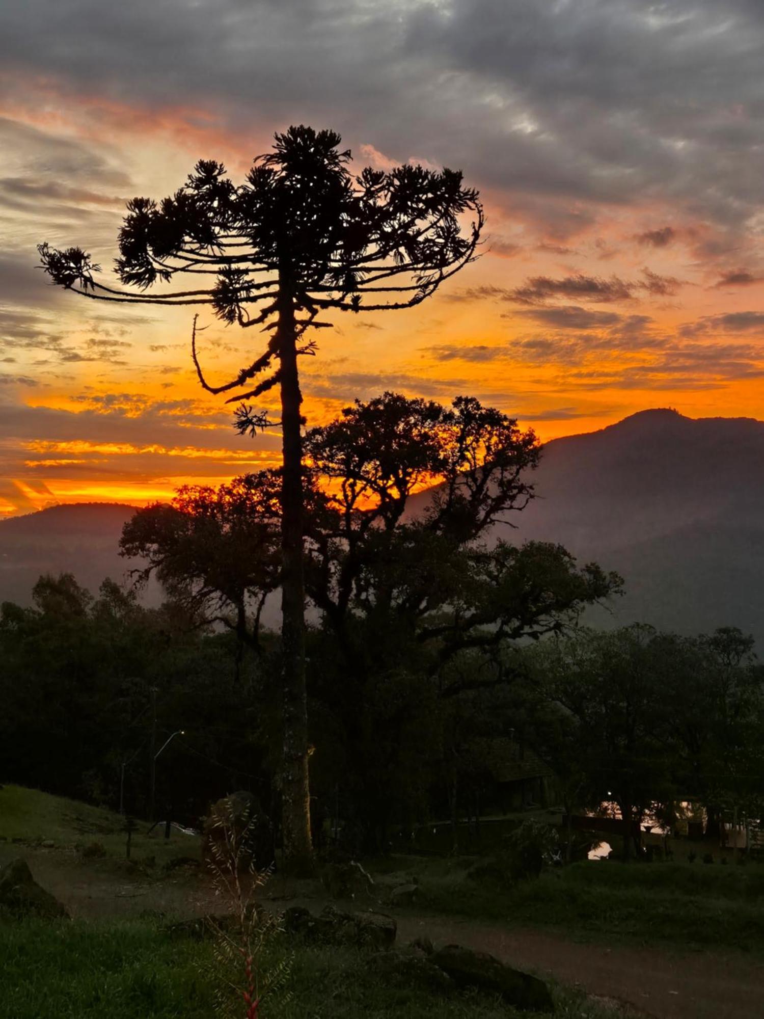 Alto Da Colina Caraa Rs Villa ภายนอก รูปภาพ